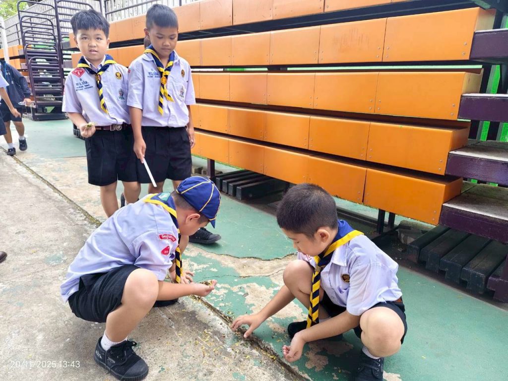 586340933_2247932112371777_967462857653498422_n