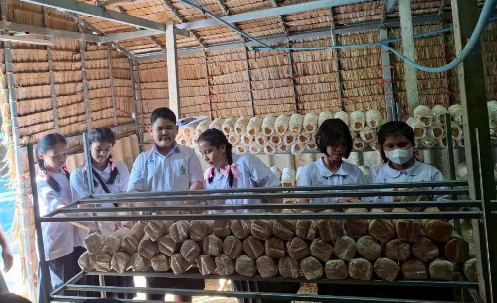 612187915_2284849662013355_8886340317032951104_n