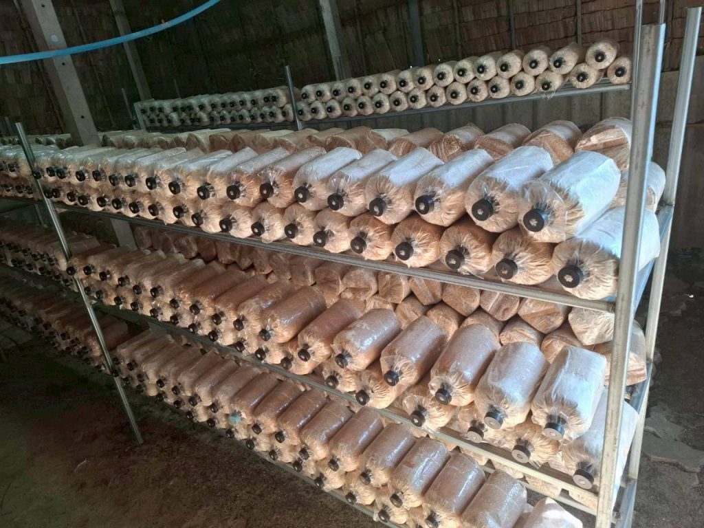 612322879_2284849858680002_2960317295201239032_n